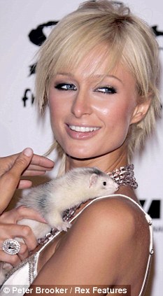 paris-hilton